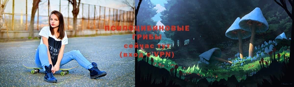 кокс Богородск