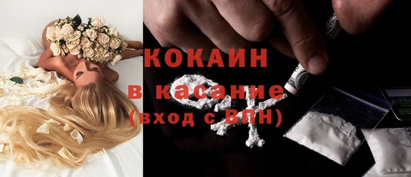 прущая мука Богородицк