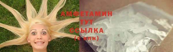 прущая мука Богородицк