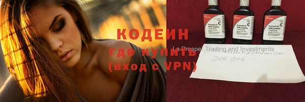 ешки Бородино