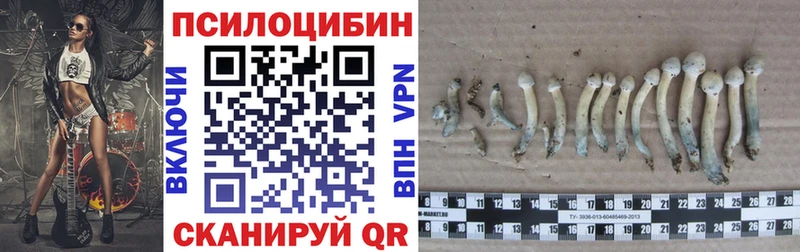 Галлюциногенные грибы GOLDEN TEACHER  Горняк 